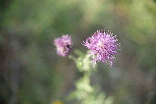 Психология 