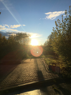 Физическая активность и тренировки