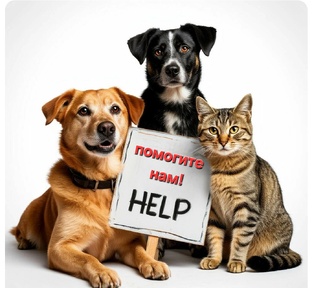 Нуждаются в помощи 