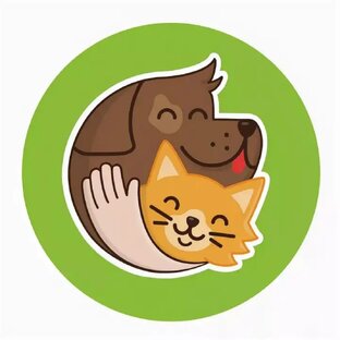 Любимые зверьки🎀🐈‍⬛