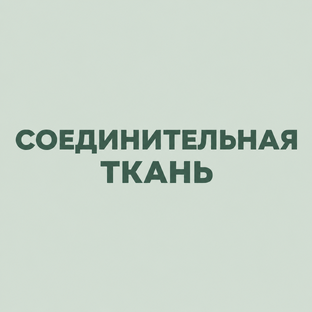 Сериал про соединительную ткань