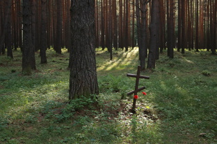 Легенды родного края