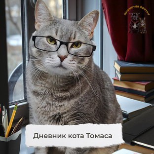 Дневник кота Томаса