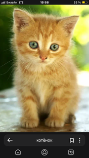 Хорошие и плохие новости