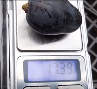 Дача для отдыха и удовольствия