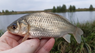 Поплавочная рыбалка.