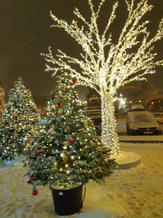 Красота природы