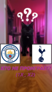 Английская Премьер-лига 2024/25