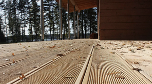 Обзор сортов террасной доски лиственницы