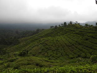 Индонезийский дневник. Большое путешествие по стране 