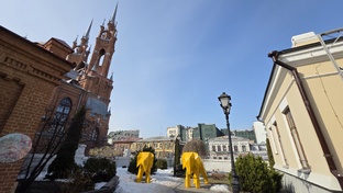 Самара