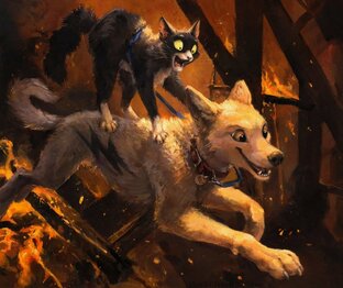 Братья наши меньшие