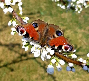 "Три переезда равны одному пожару" , у нас было 3 пожара значит