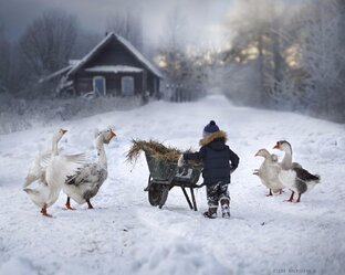 Деревенская жизн 