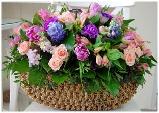 Истории из моей личной жизни