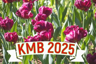 Ессентуки 2025