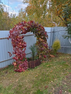 ОЧ*УМЕЛЫЕ РУЧКИ