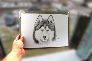 Рисуем собаку