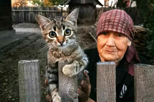 Душевные кадры с котами