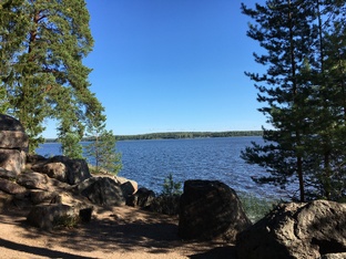 Ленинградская область