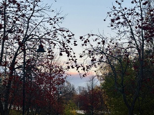 Психология