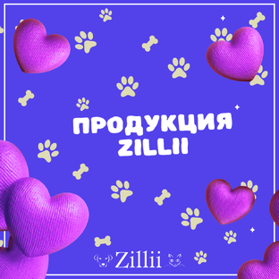 Продукция ZILLII