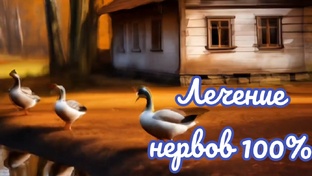 два с хвостиком