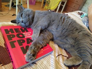 МОЯ НЕЙРОГРАФИКА