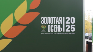 Выставка «Золотая осень». Павильона «Животноводство»