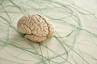 Глубинные установки и внутренние программы