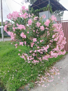 Абхазия 