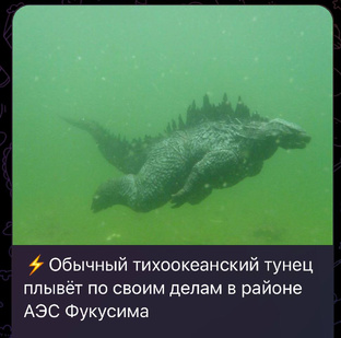 Обзоры фильмов