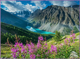 Путешествия