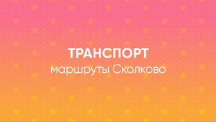 Транспорт. Маршруты Автобусов, Электробусов, МЦД