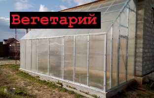 Вегетарий