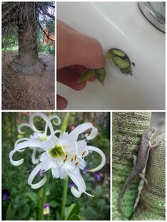 УДИВИТЕЛЬНАЯ ПРИРОДА