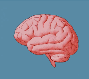 Крепкая память