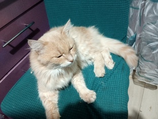 Будни безработной. Многосерийный. 