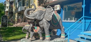 Самое разное - 1 час