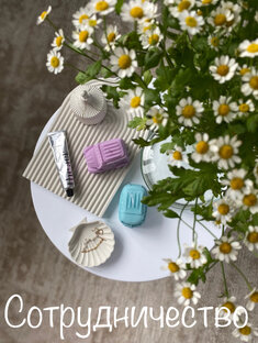 Сотрудничество 