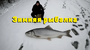 Походы и рыбалка