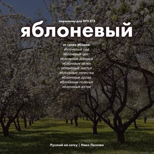 ПАРОНИМЫ №5 ЕГЭ по русскому языку