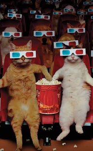 Самые рейтинговые статьи