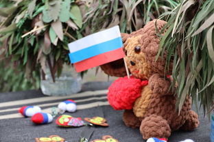 СВО