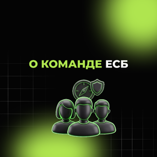 О команде ЕСБ 