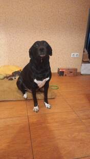 ПЕРЕВОДЫ С НАДЮШИНОГО