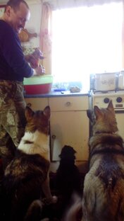 Братья наши меньшие 🐕🐈🐕