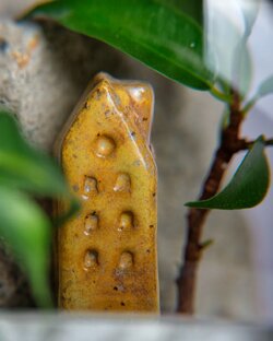 365 фото. Темы челленджа 