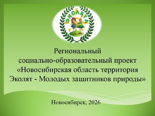 Региональный социально-образовательный проект 