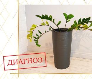 Диагноз